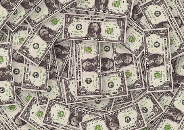 dollar-499478_640