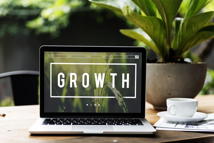 online-growth-business-loan
